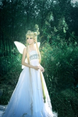 Princess Serenity Cosplay Costume