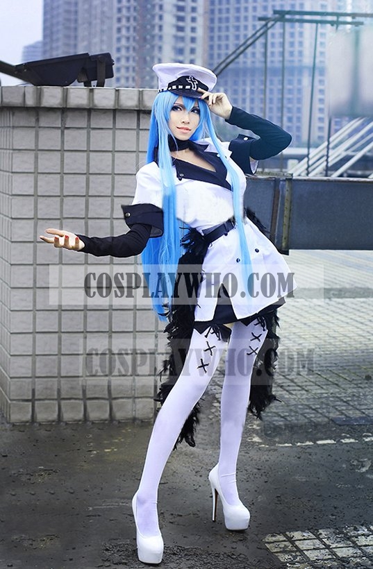 Akame Ga Kill! Jaegers Esdeath Cosplay Costume