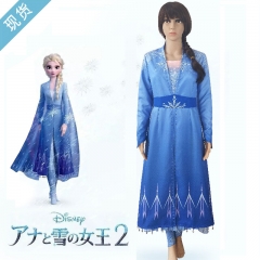 Frozen II Elsa Costume
